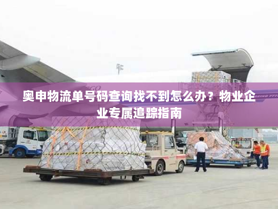 奥申物流单号码查询找不到怎么办？物业企业专属追踪指南