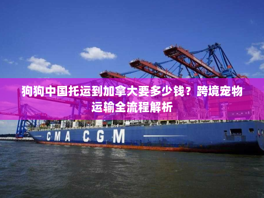 狗狗中国托运到加拿大要多少钱？跨境宠物运输全流程解析