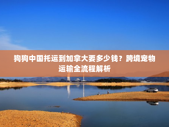 狗狗中国托运到加拿大要多少钱?跨境宠物运输全流程解析 狗狗中国托运到加拿大要多少钱?跨境宠物运输全流程解析