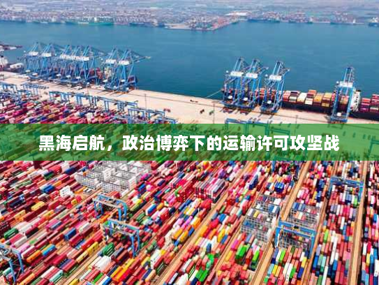 黑海启航,政治博弈下的运输许可攻坚战 黑海启航,政治博弈下的运输许可攻坚战