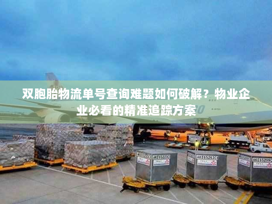双胞胎物流单号查询难题如何破解?物业企业必看的精准追踪方案 双胞胎物流单号查询难题如何破解?物业企业必看的精准追踪方案