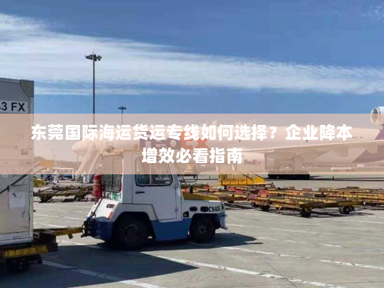 东莞国际海运货运专线如何选择？企业降本增效必看指南