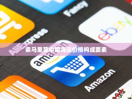 索马里至中国海运价格构成要素