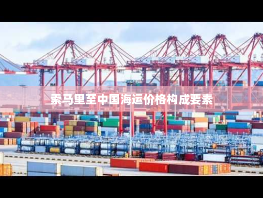 索马里至中国海运价格构成要素