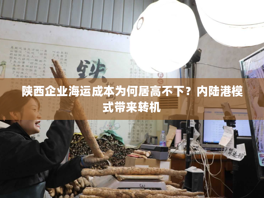 陕西企业海运成本为何居高不下？内陆港模式带来转机