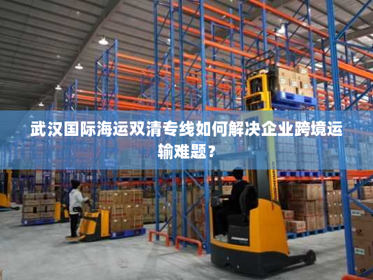 武汉国际海运双清专线如何解决企业跨境运输难题? 武汉国际海运双清专线如何解决企业跨境运输难题?