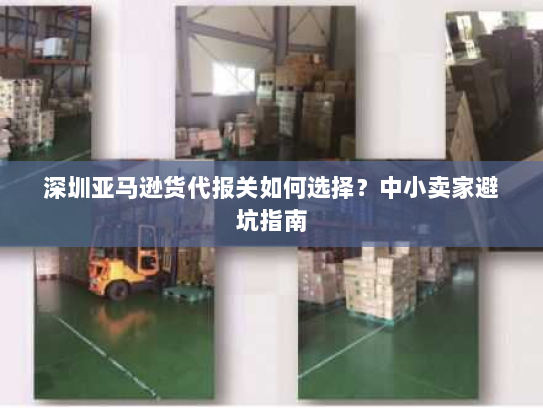 深圳亚马逊货代报关如何选择?中小卖家避坑指南 深圳亚马逊货代报关如何选择?中小卖家避坑指南