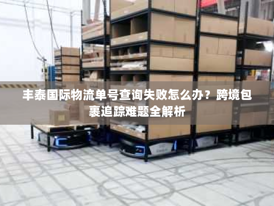 丰泰国际物流单号查询失败怎么办?跨境包裹追踪难题全解析 丰泰国际物流单号查询失败怎么办?跨境包裹追踪难题全解析