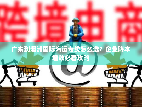 广东到澳洲国际海运专线怎么选？企业降本增效必看攻略