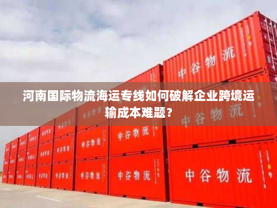 河南国际物流海运专线如何破解企业跨境运输成本难题？