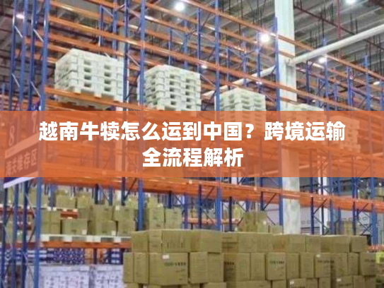 越南牛犊怎么运到中国？跨境运输全流程解析