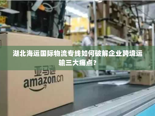 湖北海运国际物流专线如何破解企业跨境运输三大痛点？