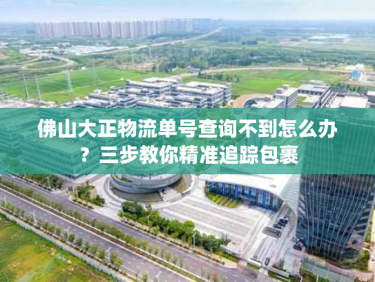 佛山大正物流单号查询不到怎么办?三步教你精准追踪包裹 佛山大正物流单号查询不到怎么办?三步教你精准追踪包裹