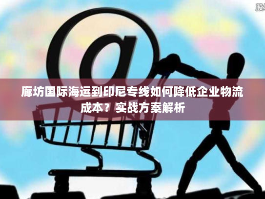 廊坊国际海运到印尼专线如何降低企业物流成本？实战方案解析
