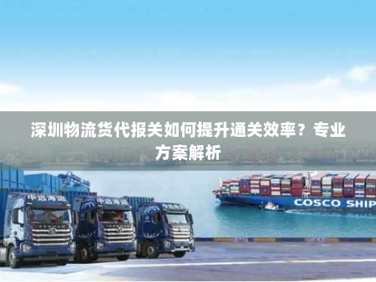 深圳物流货代报关如何提升通关效率？专业方案解析
