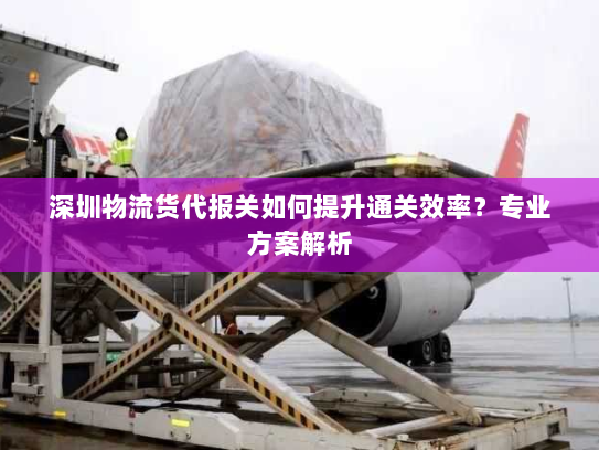 深圳物流货代报关如何提升通关效率?专业方案解析 深圳物流货代报关如何提升通关效率?专业方案解析