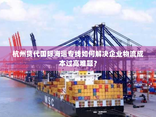 杭州货代国际海运专线如何解决企业物流成本过高难题？