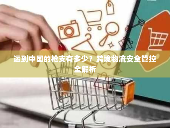 运到中国的枪支有多少?跨境物流安全管控全解析 运到中国的枪支有多少?跨境物流安全管控全解析