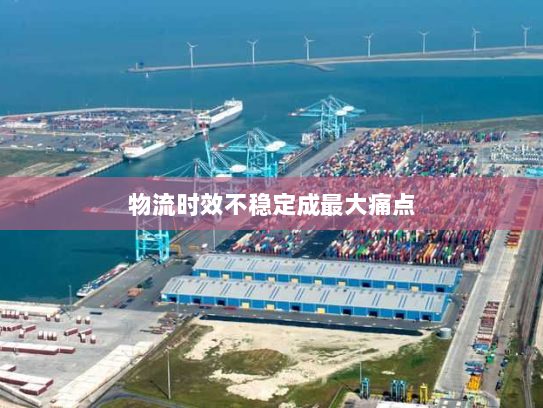 物流时效不稳定成最大痛点 物流时效不稳定成最大痛点