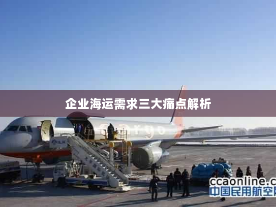 企业海运需求三大痛点解析 企业海运需求三大痛点解析