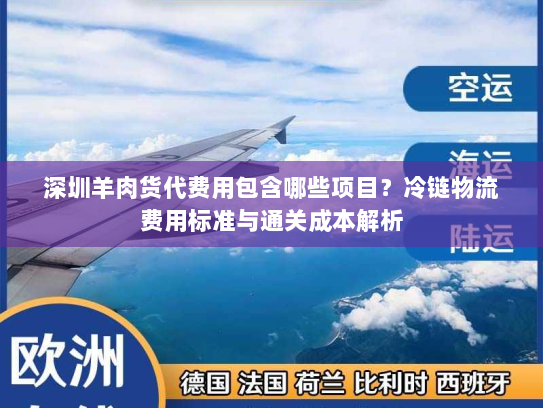 深圳羊肉货代费用包含哪些项目？冷链物流费用标准与通关成本解析