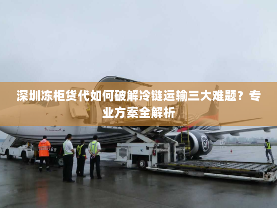 深圳冻柜货代如何破解冷链运输三大难题？专业方案全解析