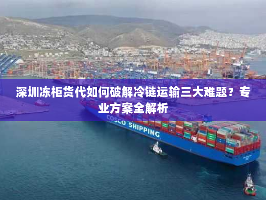 深圳冻柜货代如何破解冷链运输三大难题?专业方案全解析 深圳冻柜货代如何破解冷链运输三大难题?专业方案全解析