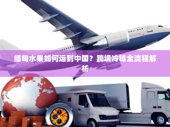 缅甸水果如何运到中国?跨境冷链全流程解析 缅甸水果如何运到中国?跨境冷链全流程解析