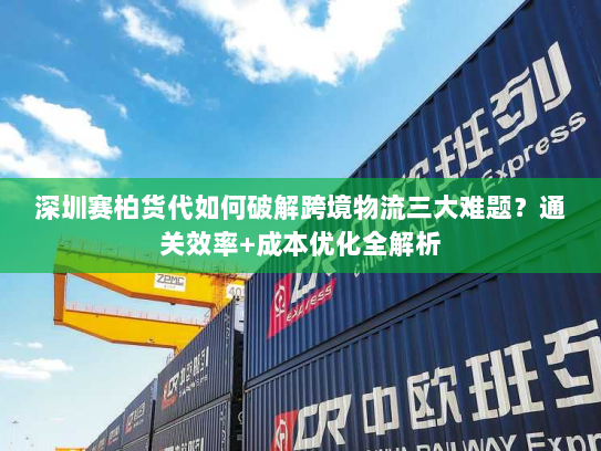 深圳赛柏货代如何破解跨境物流三大难题？通关效率+成本优化全解析