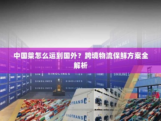 中国菜怎么运到国外?跨境物流保鲜方案全解析 中国菜怎么运到国外?跨境物流保鲜方案全解析