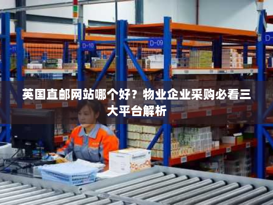 英国直邮网站哪个好?物业企业采购必看三大平台解析 英国直邮网站哪个好?物业企业采购必看三大平台解析