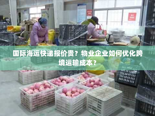 国际海运快递报价贵?物业企业如何优化跨境运输成本? 国际海运快递报价贵?物业企业如何优化跨境运输成本?