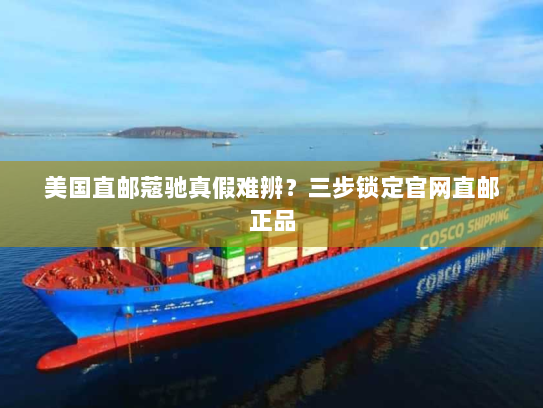 美国直邮蔻驰真假难辨？三步锁定官网直邮正品