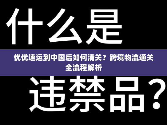 优优速运到中国后如何清关?跨境物流通关全流程解析 优优速运到中国后如何清关?跨境物流通关全流程解析