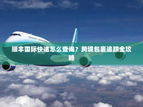 顺丰国际快递怎么查询?跨境包裹追踪全攻略 顺丰国际快递怎么查询?跨境包裹追踪全攻略
