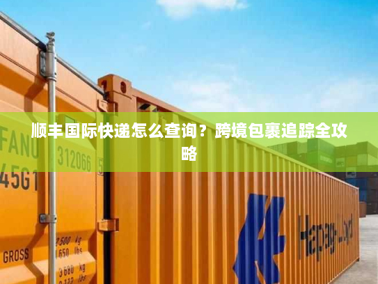 顺丰国际快递怎么查询?跨境包裹追踪全攻略 顺丰国际快递怎么查询?跨境包裹追踪全攻略