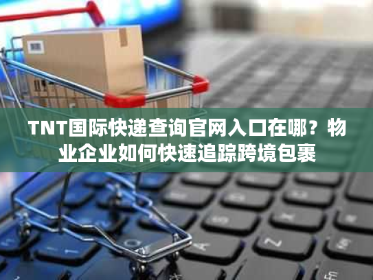 TNT国际快递查询官网入口在哪？物业企业如何快速追踪跨境包裹