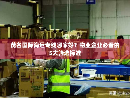 茂名国际海运专线哪家好？物业企业必看的5大筛选标准