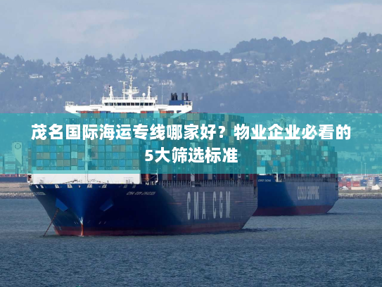 茂名国际海运专线哪家好？物业企业必看的5大筛选标准