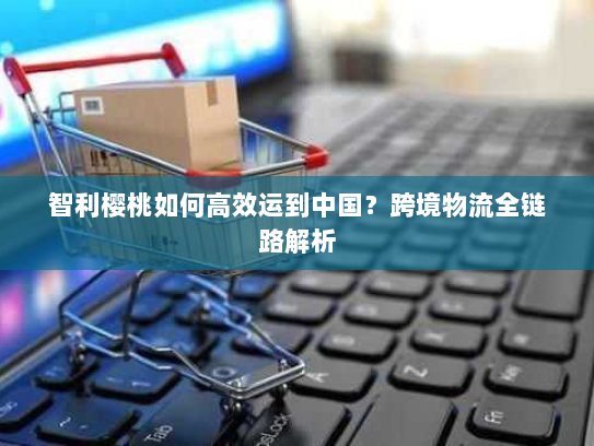 智利樱桃如何高效运到中国?跨境物流全链路解析 智利樱桃如何高效运到中国?跨境物流全链路解析