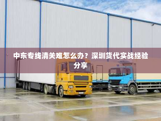 中东专线清关难怎么办?深圳货代实战经验分享 中东专线清关难怎么办?深圳货代实战经验分享