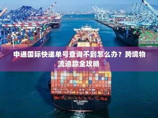 申通国际快递单号查询不到怎么办?跨境物流追踪全攻略 申通国际快递单号查询不到怎么办?跨境物流追踪全攻略