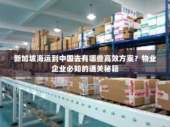 新加坡海运到中国去有哪些高效方案？物业企业必知的通关秘籍