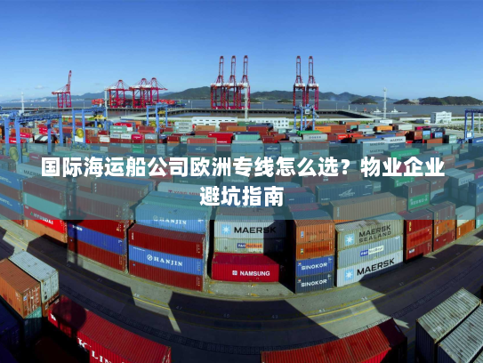 国际海运船公司欧洲专线怎么选？物业企业避坑指南