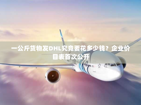 一公斤货物发DHL究竟要花多少钱？企业价目表首次公开