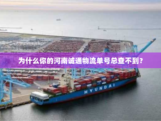 为什么你的河南诚通物流单号总查不到? 为什么你的河南诚通物流单号总查不到?
