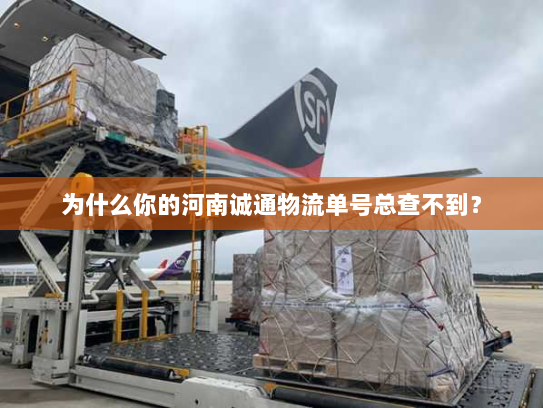 为什么你的河南诚通物流单号总查不到? 为什么你的河南诚通物流单号总查不到?