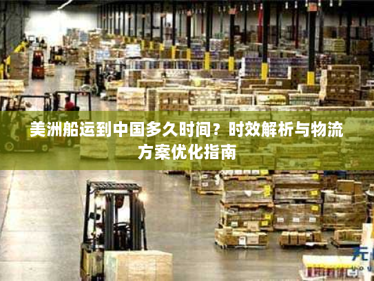 美洲船运到中国多久时间?时效解析与物流方案优化指南 美洲船运到中国多久时间?时效解析与物流方案优化指南