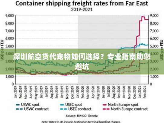 深圳航空货代宠物如何选择?专业指南助您避坑 深圳航空货代宠物如何选择?专业指南助您避坑