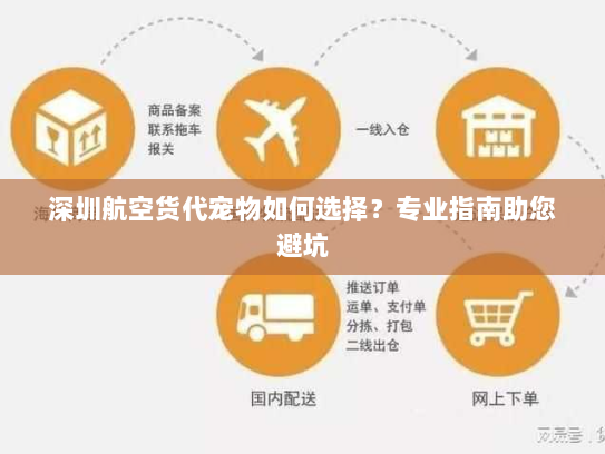 深圳航空货代宠物如何选择?专业指南助您避坑 深圳航空货代宠物如何选择?专业指南助您避坑